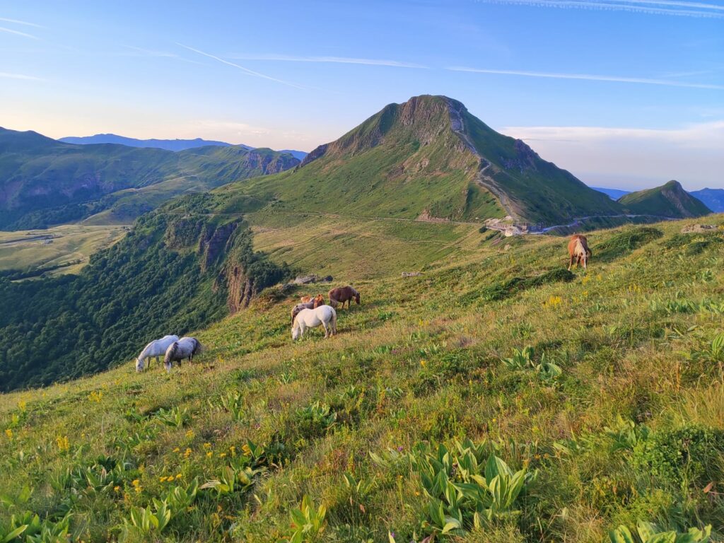 Le Puy Mary
